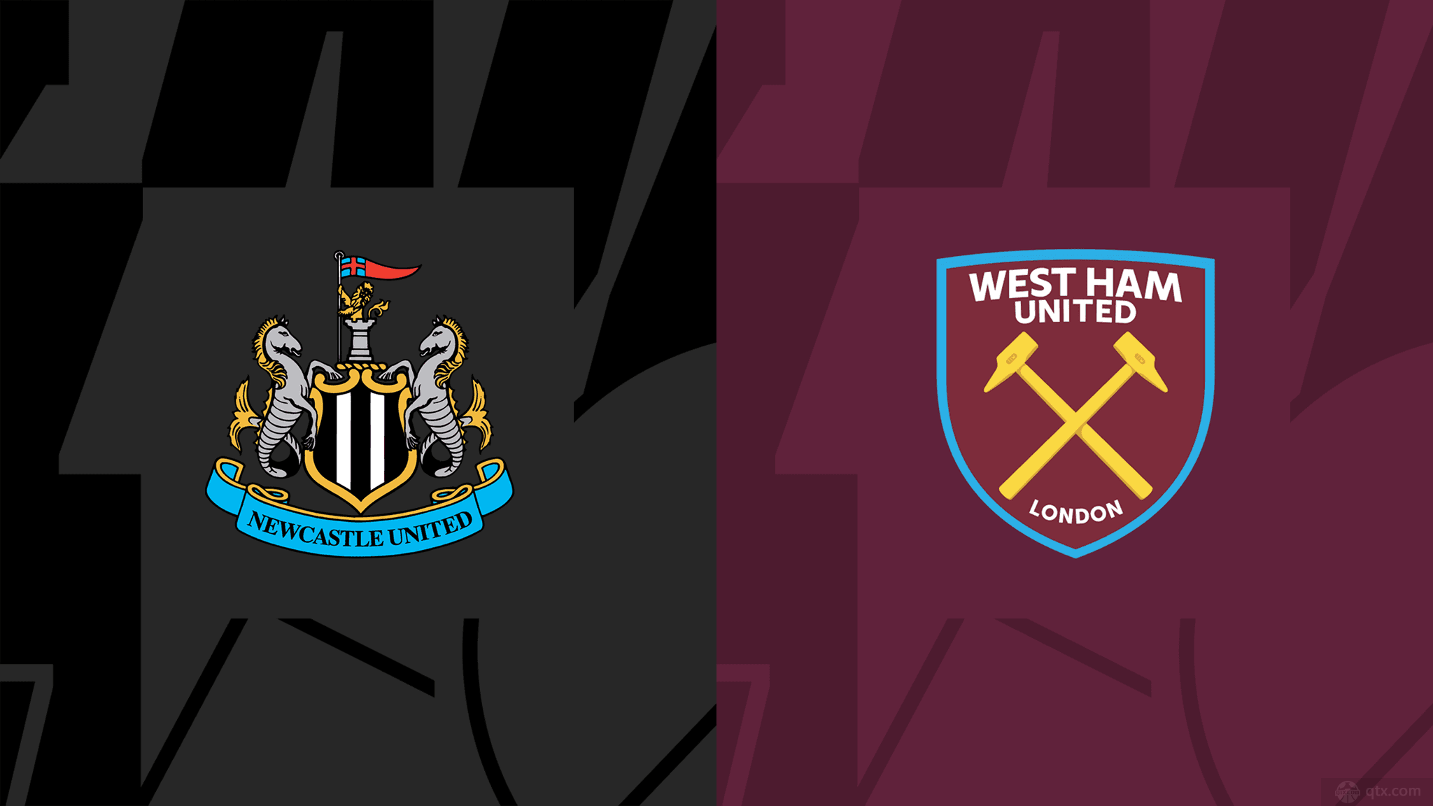 多活力型球 多活力型球