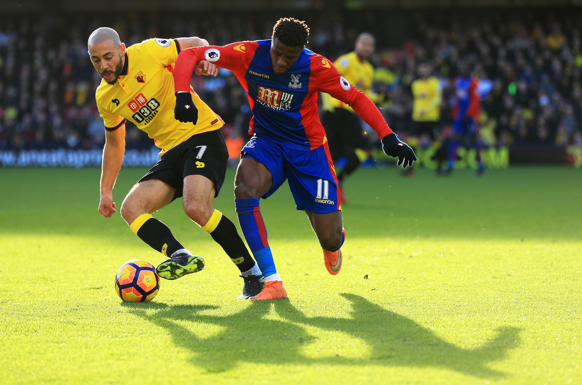 文化同样吸 文化同样吸